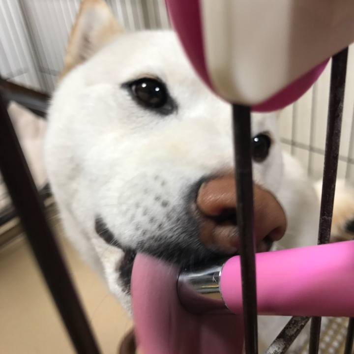 1caa7944 f60f 4e9d 977a 583e5c1d7ee5