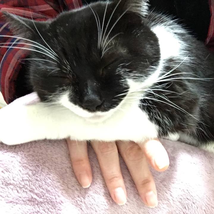 1caaa05b c347 4d6a b59c 046da9e7e401