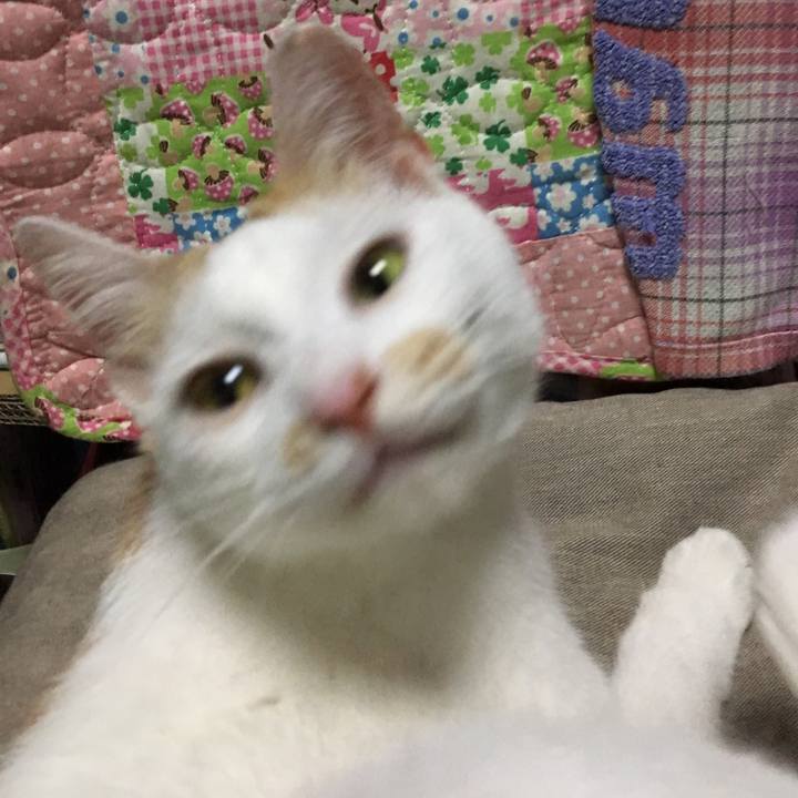 1caabb80 047d 455d 90eb 23fdecbab546