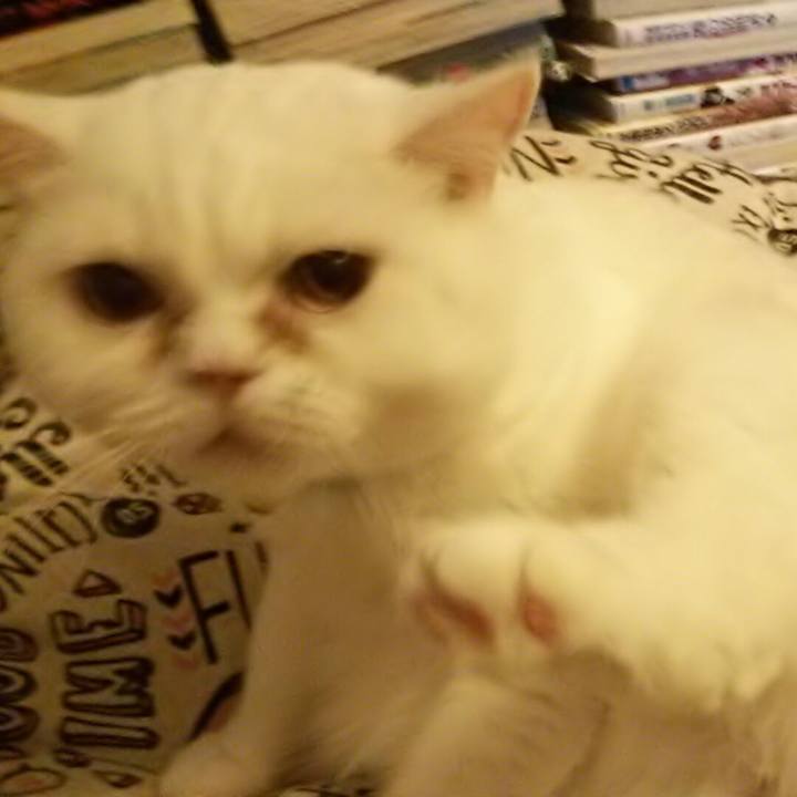 1cab88e7 b86d 4d05 b4c7 6aec715d3b68