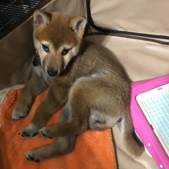 1cab8c6e 926d 4999 85c4 a054548d4198