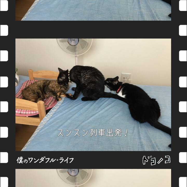 1cab992a 490d 4683 b7af dcba5303fac4