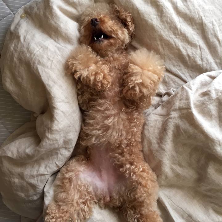 1cac2493 e2bc 432b 9ad4 75b2723bc361