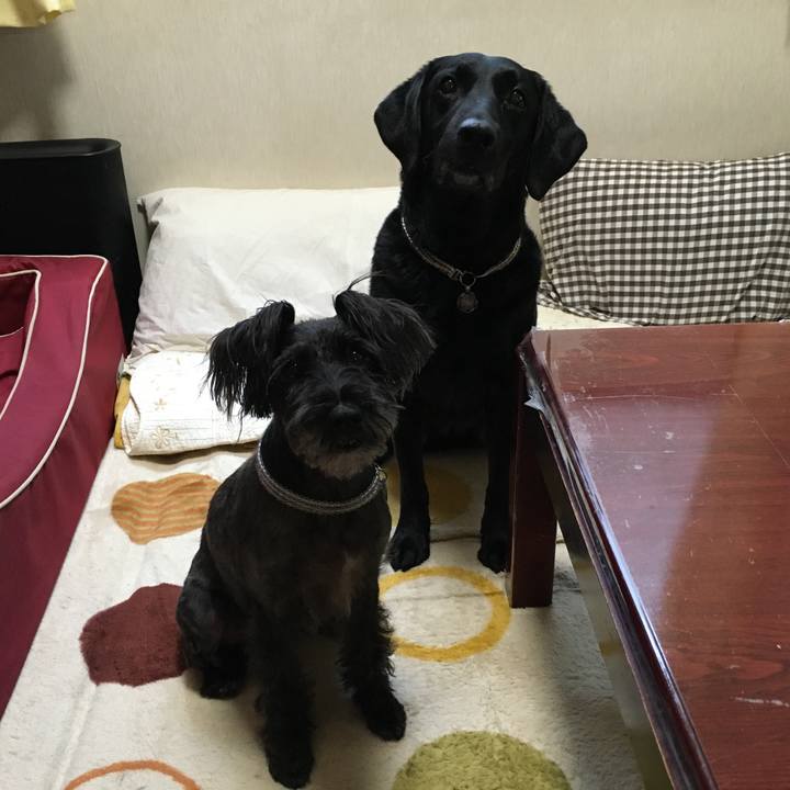 1cacce38 c48c 4c51 a036 c45d91c01361