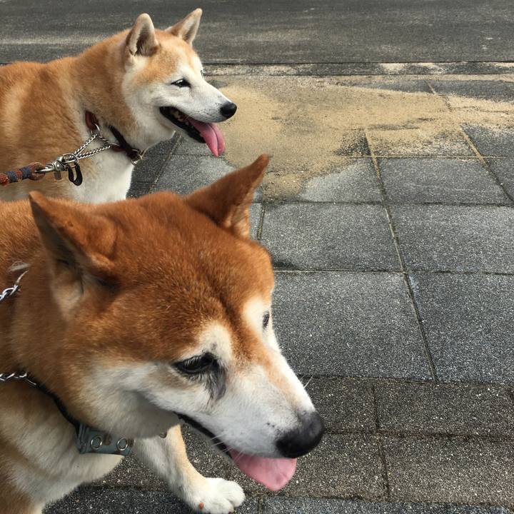 1cad0223 f5d8 4700 98b7 5159229595b4