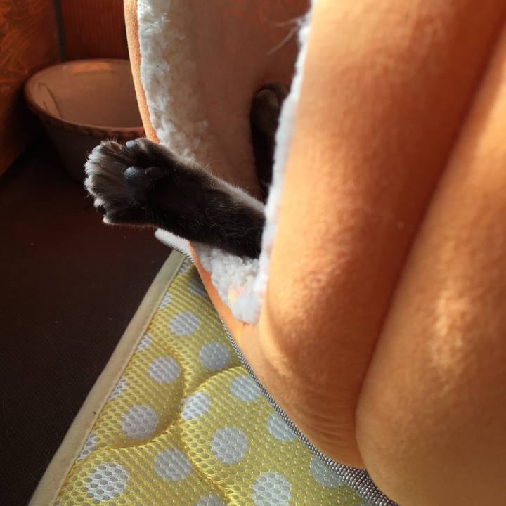 1cad02bc 2996 4e33 90b0 2e8a3ac1bc2c