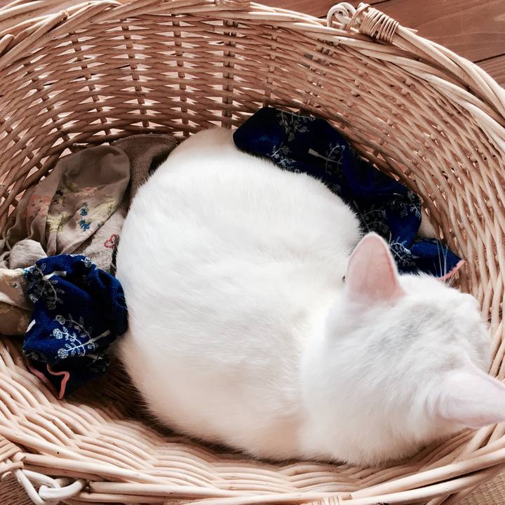 1cad101e 2882 4c36 a568 d965e5592bd4