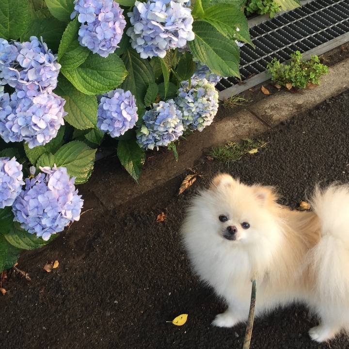 1cadd05e 7365 4793 9007 4215d1ab2768