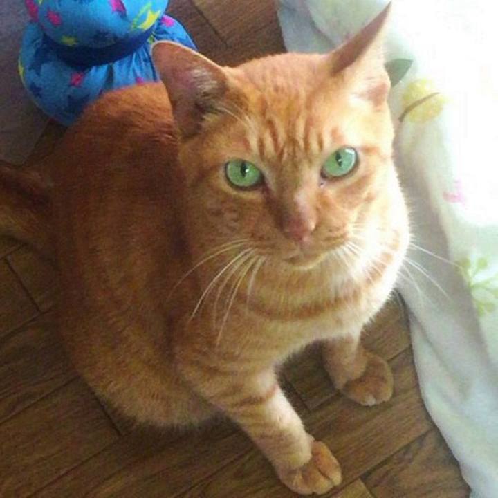 1cae3f4a 5c5c 4f0d 8863 783c1b4e592d