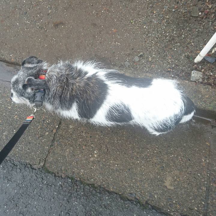 1cae91da 9718 47c3 8f7c 12e1bcf68c4c