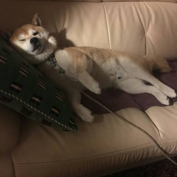 1caeabb3 7db2 495a bd95 cad1aa00b096