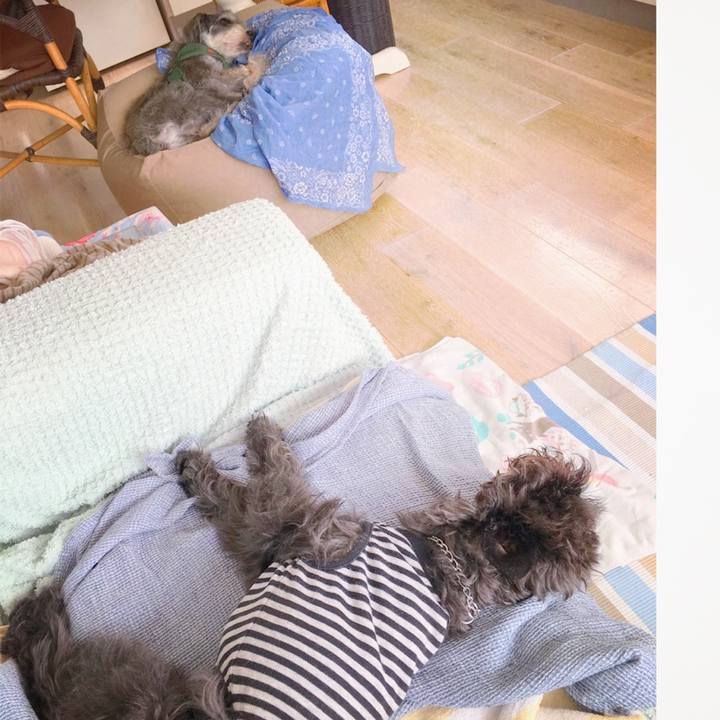 1caebf2f 7978 4727 9f6c ed80a8de5c9f