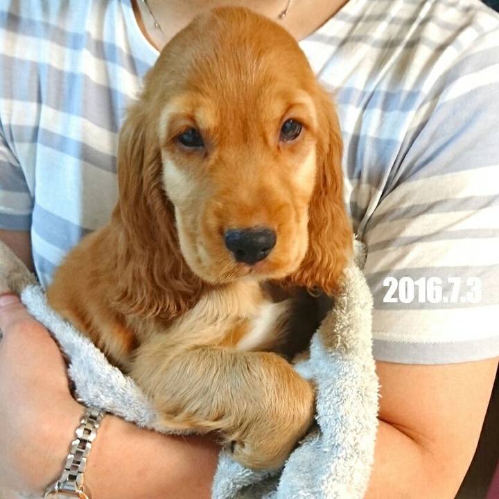 1caed441 0658 4bd1 b0c3 768fbd99345e