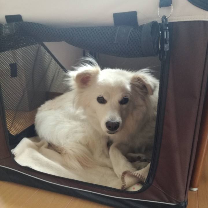 1caf3040 de0b 4aa4 9b26 eca55444dea0