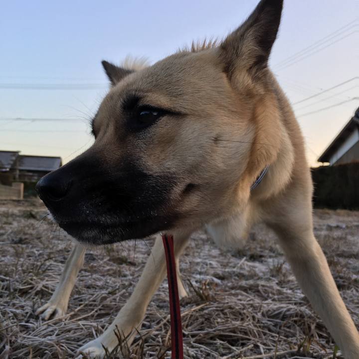 1caf4f26 084e 4393 b849 1004c59c2407