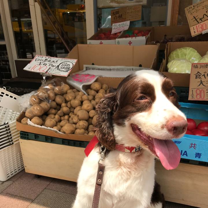 1cb05e53 6572 4da9 bd8f 10d4b7c005ff