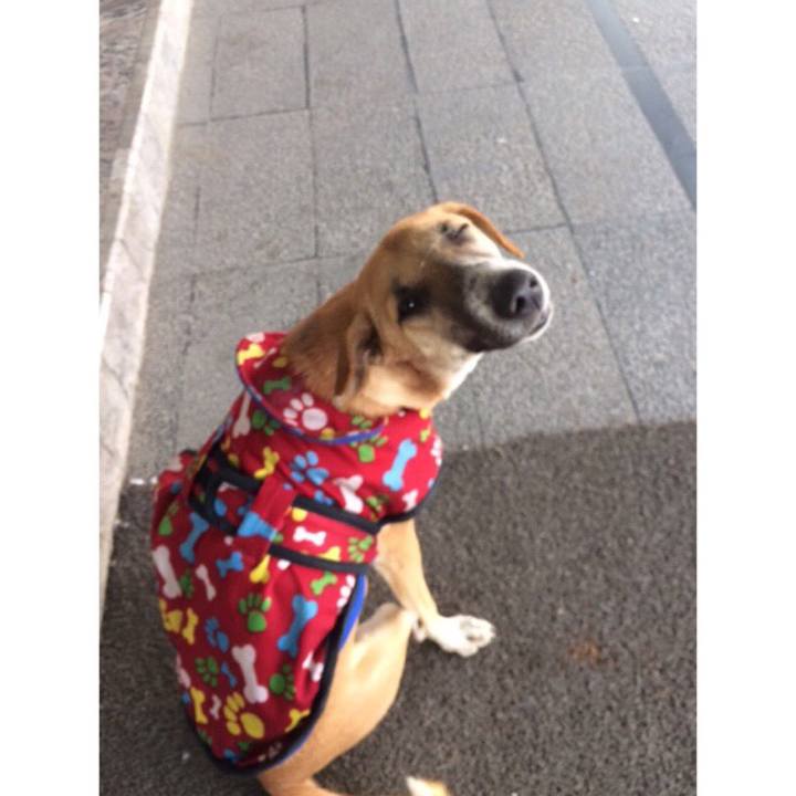 1cb062d4 36a4 4bcc 914a 5fd9e7ff93cd