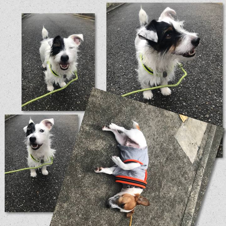 1cb0fd1c af80 4f81 86eb 5a6bd45b4625