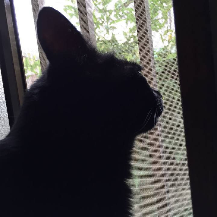 1cb1581b d851 4712 8ae3 2e16419d8a2a