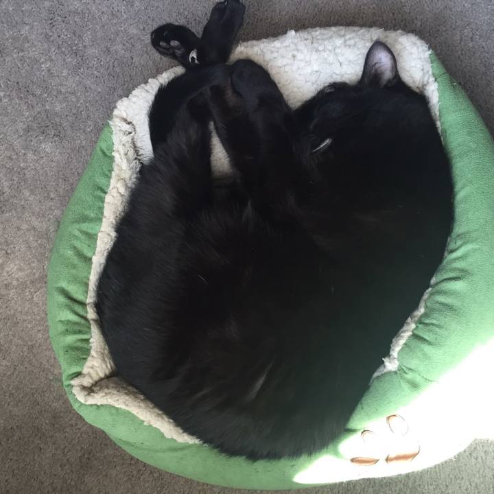 1cb1952d 8e54 4f92 86ac f5322799a1f9