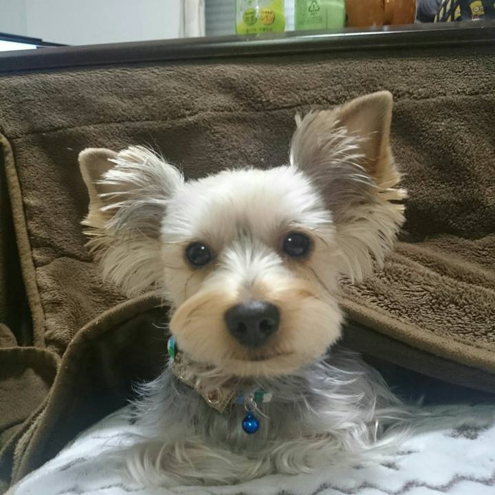 1cb1b2ad 2f9c 499c 8a60 8d246f46873e