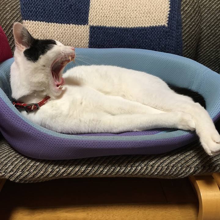 1cb2e1bc a4d9 4930 9b84 05425ba4e8b0