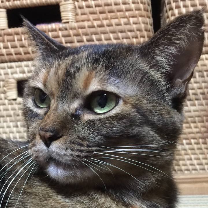 1cb2e669 fee0 40e0 9c10 b939a2371eb4