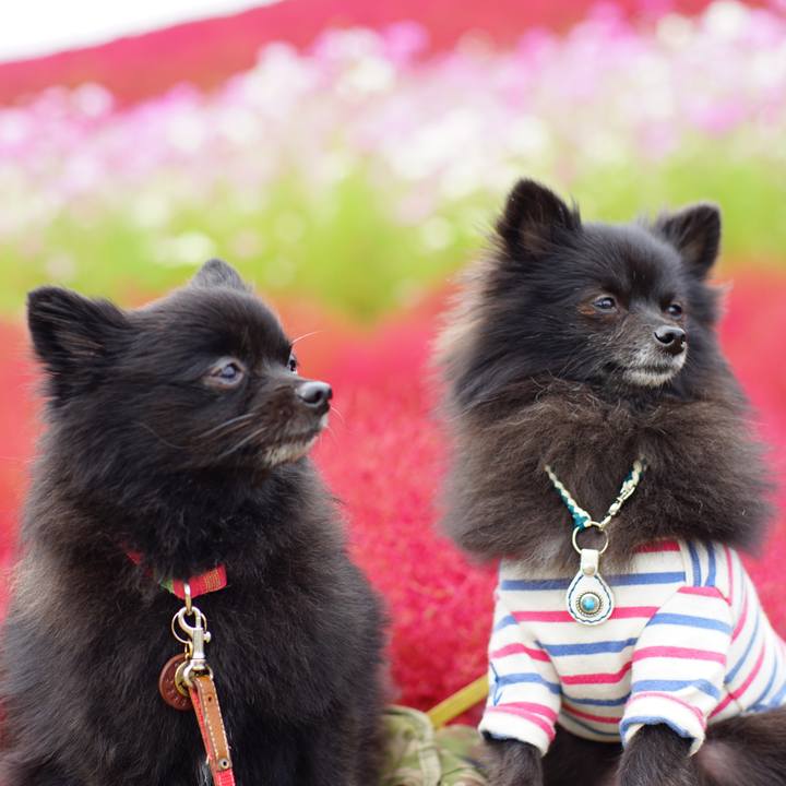 1cb32fca 3211 4f97 a312 219bef963a0c