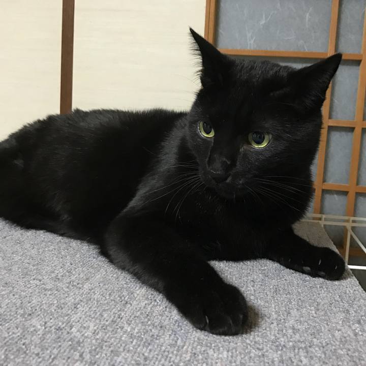 1cb3bf3f 869e 4148 acff 2e6ac9461b0e