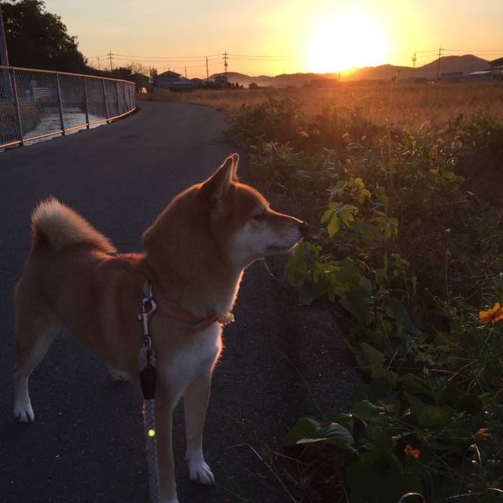 1cb3d89b c385 4232 a1af cdd3154d5a34