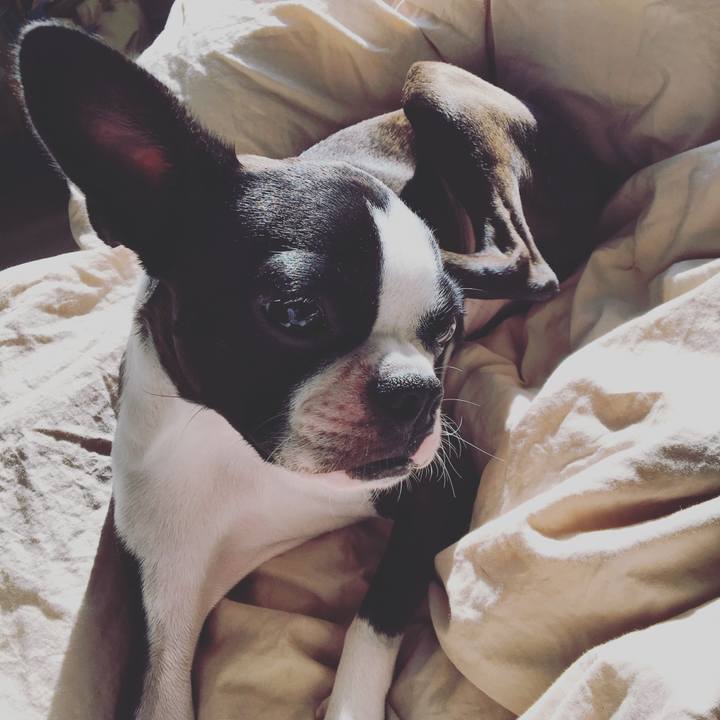 1cb56197 5d19 4a05 8b05 2646baa7a635