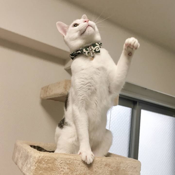 1cb5e5af 4423 43f8 a6bf dc78caad9d4c