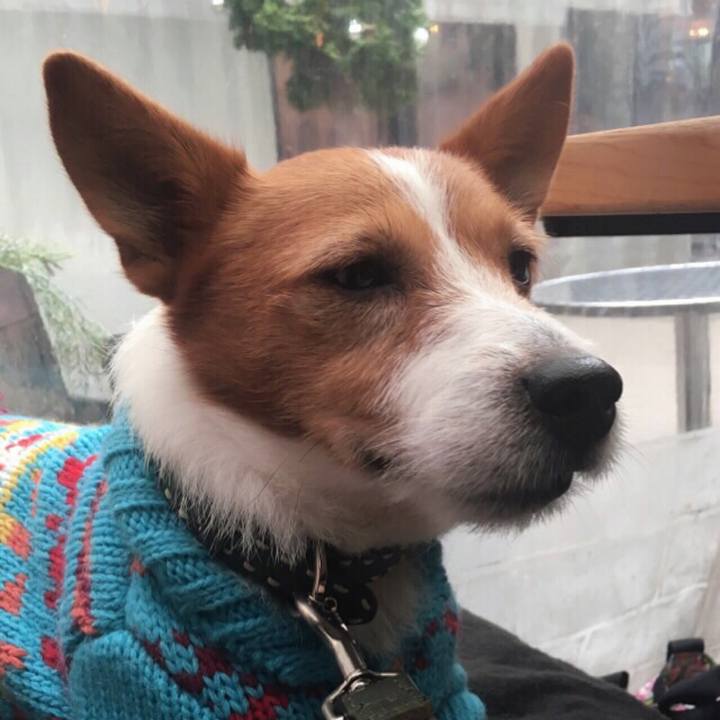 1cb5fc7e 99cf 44d8 99c8 c10b4c1aa583