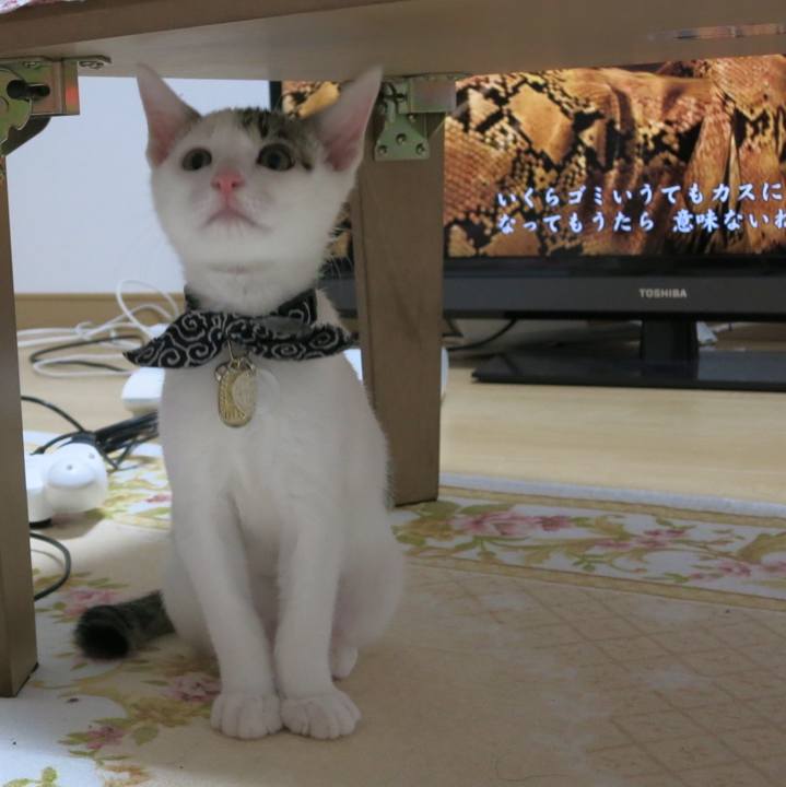 1cb83120 1b68 442e 9a9c 4a899ce5ec20