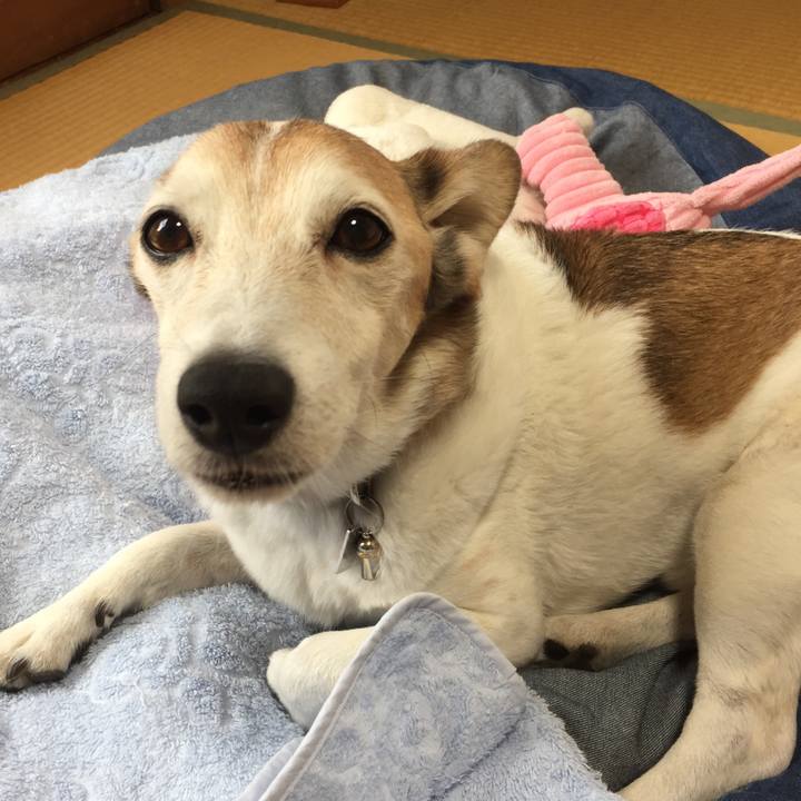 1cb87665 8831 4f71 96ab ed9cde8917fc