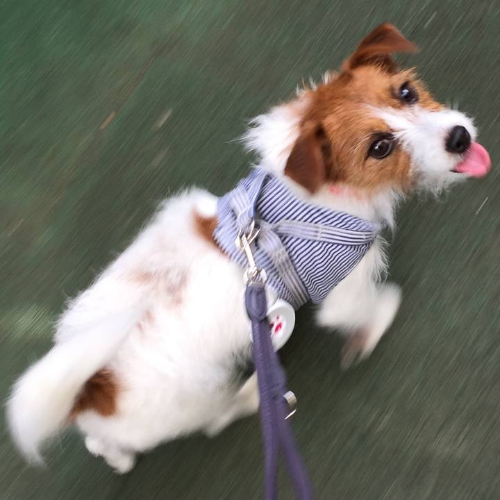 1cb88c11 8fdd 46f4 b0d6 10a386f53a84