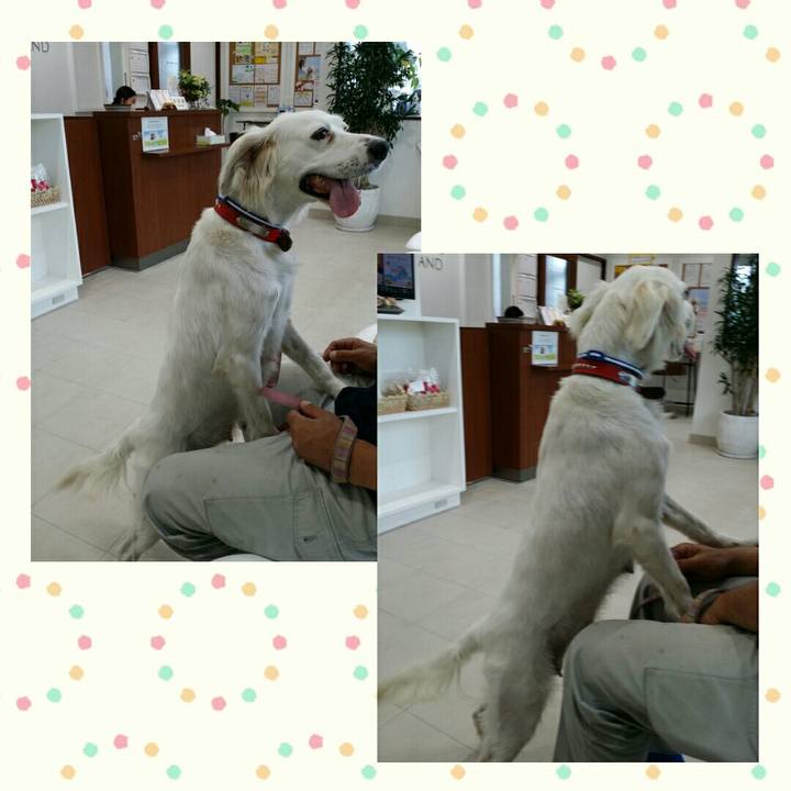 1cb94de0 6a27 46c2 86ac 37accfb1ec7d