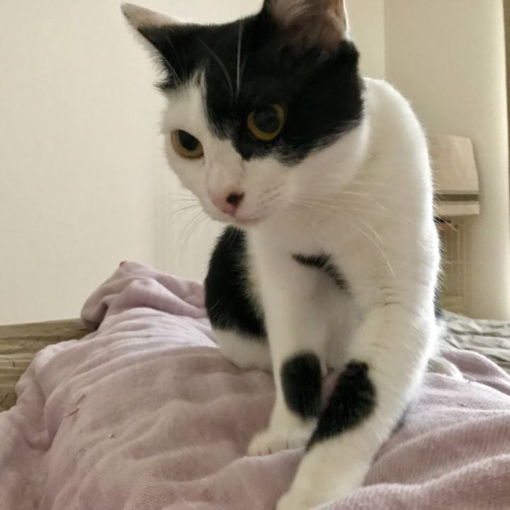 1cba3b3b 7f9f 41a9 857c b98fdf11ba13