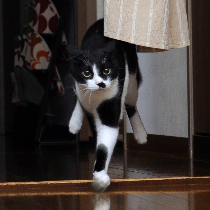 1cba5de1 ca11 40b8 a013 9ab93b96afb0