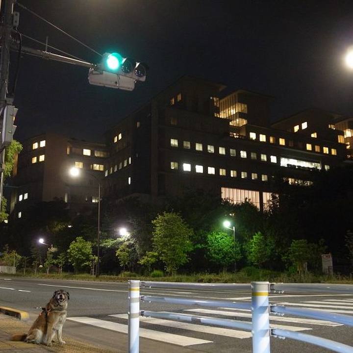 1cba7012 889d 4d9c 9f2f b766b8148450