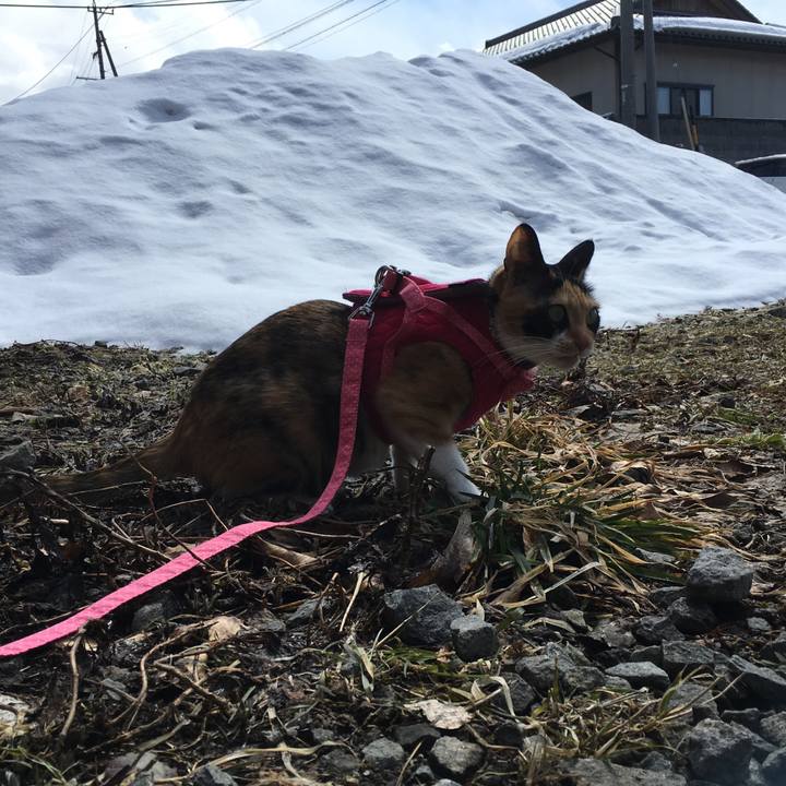 1cba8a3b 5c50 40a1 9762 e5a7f158d489