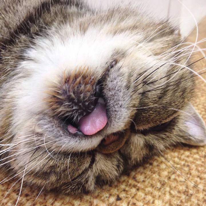 1cbb5984 1ebe 4d9c 8a74 f0bfc99aa22e