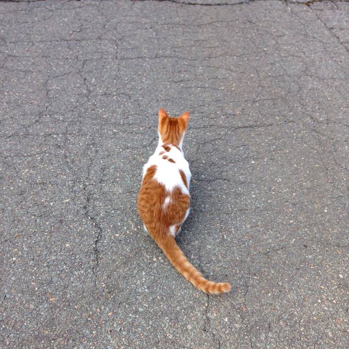 1cbb811e e5f6 486e 8799 7458d839b946