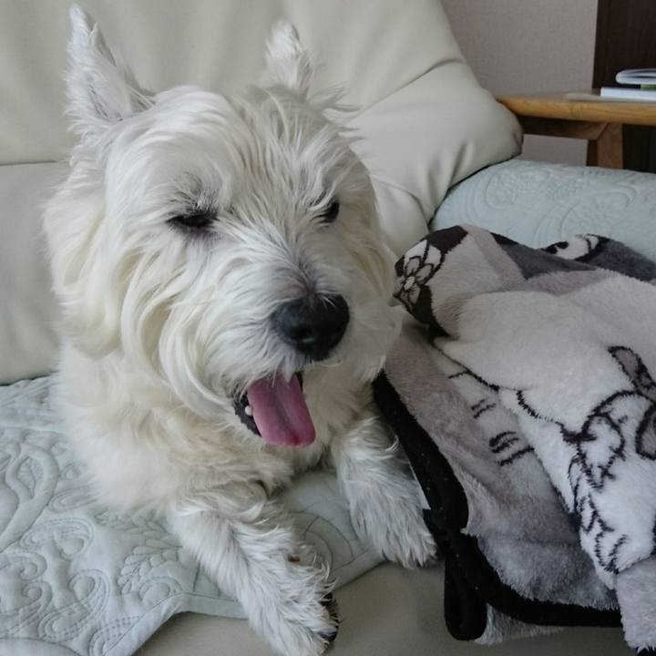 1cbc587c 74d6 40d3 b2e0 2b47dd43cc5a