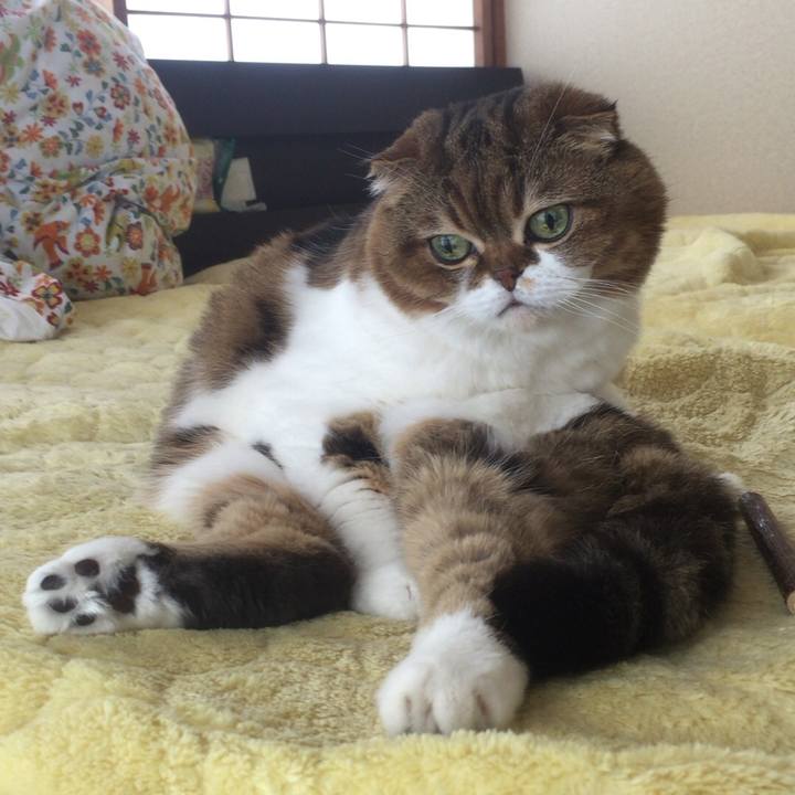 1cbca39b 9d31 4adc 86a9 fbd400c3a4c2