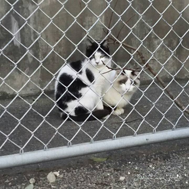 1cbcc3e3 67b8 413a b7e5 e85b72db2a3a