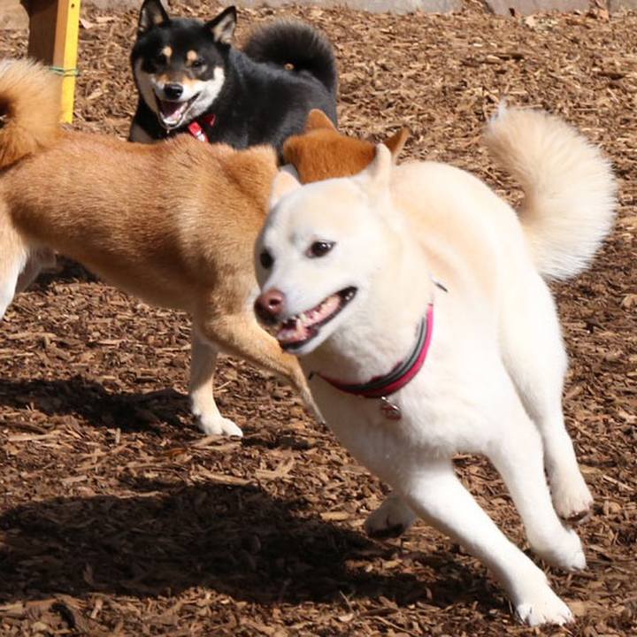 1cbcfe1e 2aca 4f60 9500 092cd38d6a13