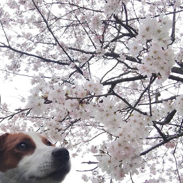 1cbd2b08 282f 411c 9585 ce0a42a28f7d