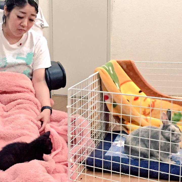 1cbdce4a eaea 4400 8782 ff4b8726de93