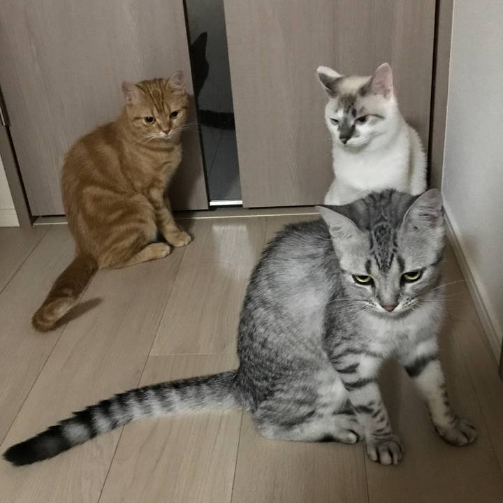 1cbf07b5 cc07 4eee 85a3 af1d8d4c24c9